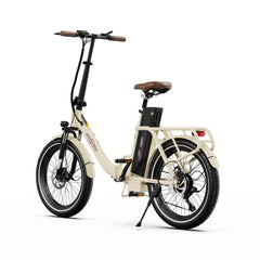 ONESPORT OT16-2 250W Folding Electric Bike with 48V 17Ah Battery