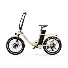 ONESPORT OT16-2 250W Folding Electric Bike with 48V 17Ah Battery